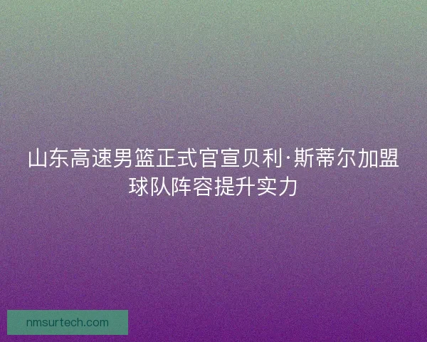 山东高速男篮正式官宣贝利·斯蒂尔加盟球队阵容提升实力